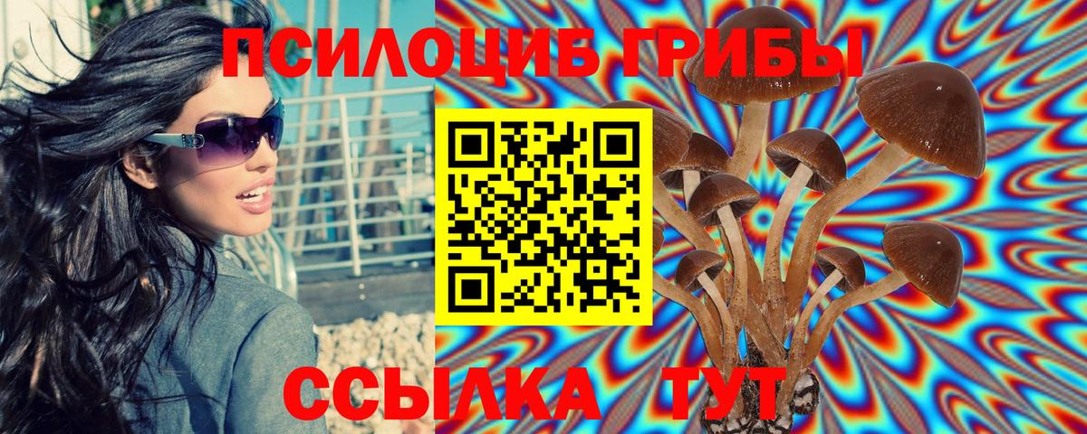 Псилоцибиновые грибы MAGIC MUSHROOMS Воткинск